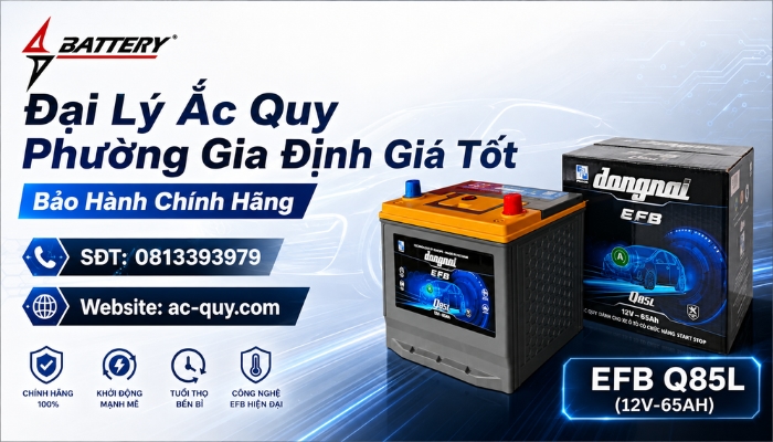 Cửa H&agrave;ng Ắc Quy Phường Gia Định Ch&iacute;nh H&atilde;ng