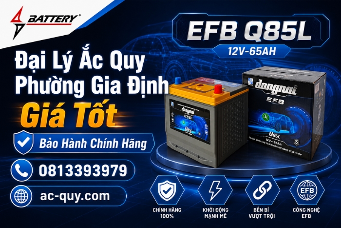 Đại Lý Ắc Quy Phường Gia Định Giá Tốt, Bảo Hành Chính Hãng